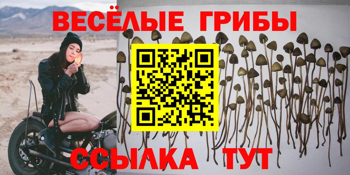Псилоцибиновые грибы MAGIC MUSHROOMS Кунгур