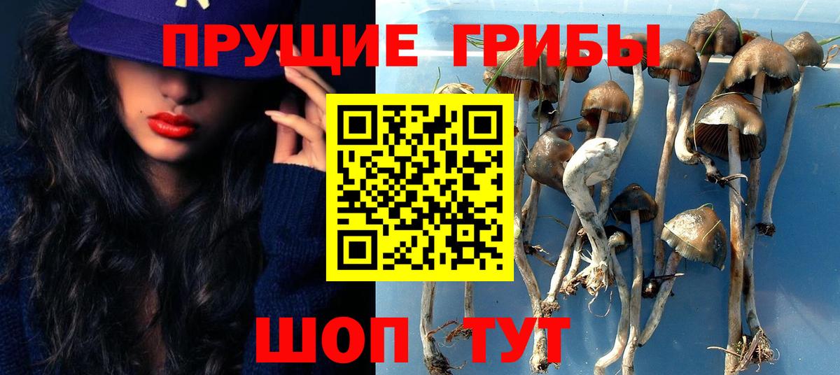 Псилоцибиновые грибы MAGIC MUSHROOMS  Вход с VPN  Кунгур 